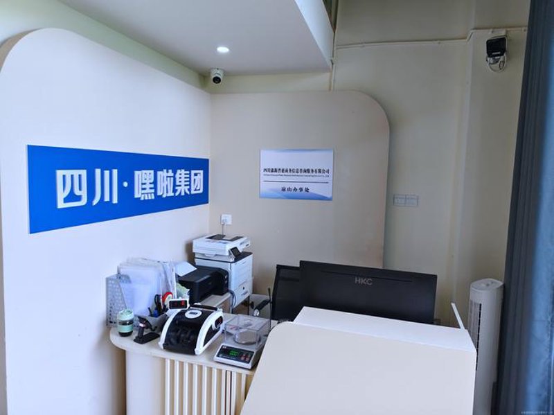信息技术咨询服务引领行业发展新篇章